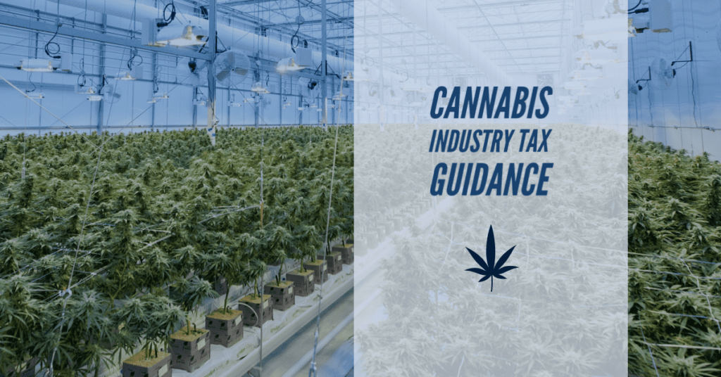 cannabis tax guidance